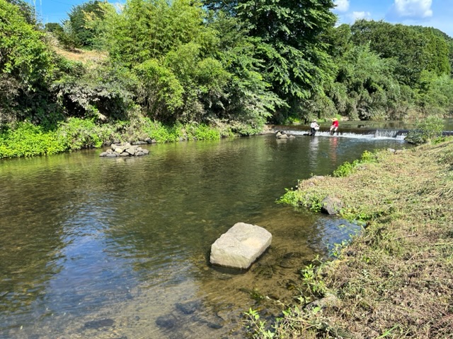 夏休み 川